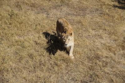 Прикрепленное изображение: A58DSC00217-1.jpg